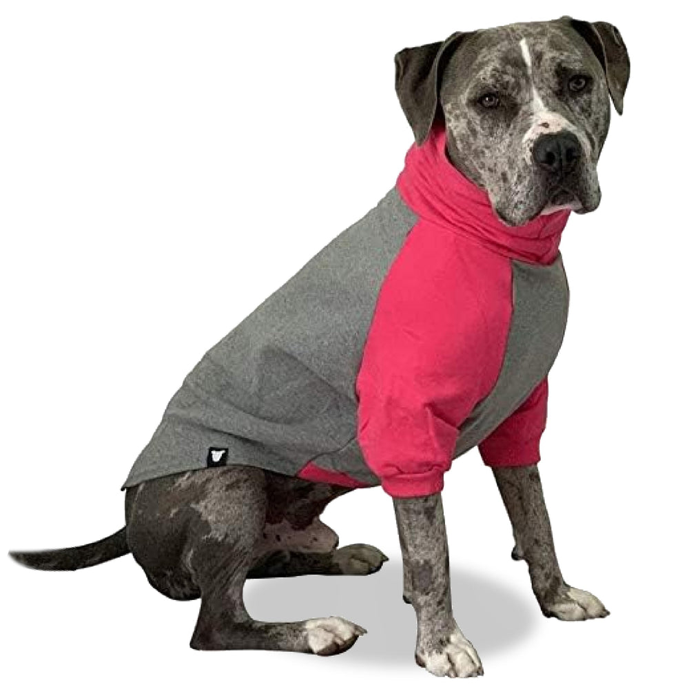 Tooth & Honey large dog sweater in hot pink XXL worn for cozy warmth and style
