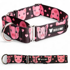 Tooth & Honey Pitbull martingale collar on dog during walk for secure control