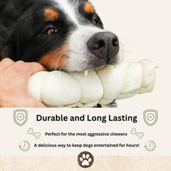 Top Dog Chews beef cheek rolls dental benefits—helps clean gums during chewing.