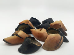 Top Dog Chews cow hooves long chew demonstrates sturdy chew for dogs of all sizes.
