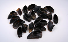 Top Dog Chews cow hooves, made in the USA with strict quality standards.