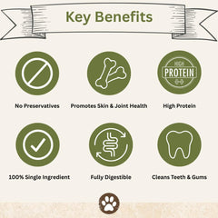 Top Dog Chews Dehydrated Chicken Feet crunchy texture closeup emphasizes digestible snack