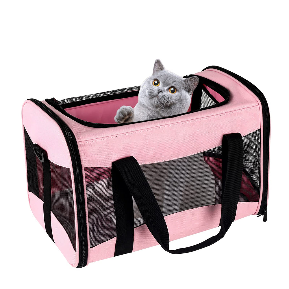Top Tasta cat carrier airline-approved under-seat travel convenience.