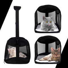 Top tasta cat carrier with detachable fleece pad for cozy travel naps.