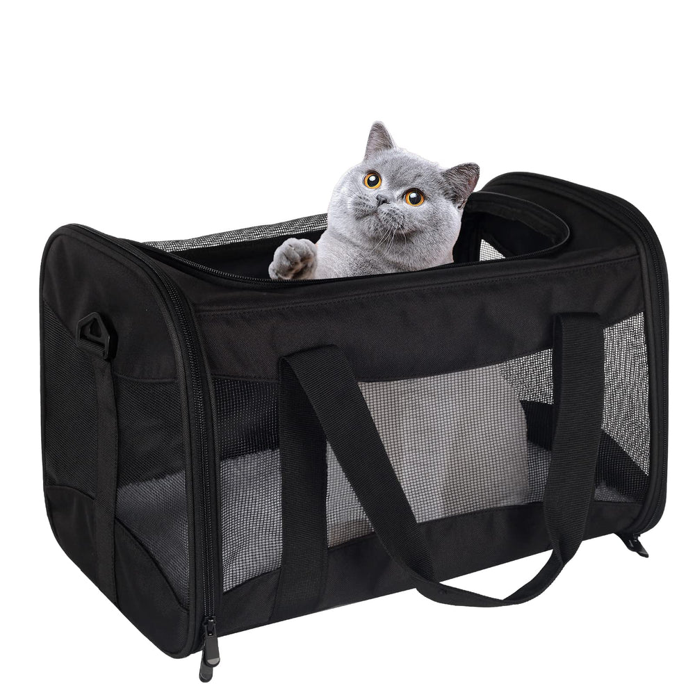 Top tasta cat carrier under-seat view showing airline-friendly size for travel.