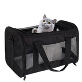 Top tasta cat carrier under-seat view showing airline-friendly size for travel.