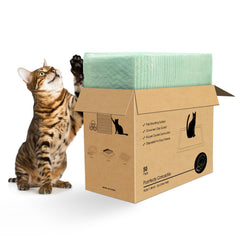Topfeel cat pad demonstrates Breeze compatibility for secure fit and dry litter