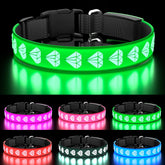 TOPOTO light up dog collar green front view with bright LEDs for safer night walks.