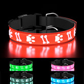 TOPOTO light-up dog collar red front view shows bright visibility for night walks