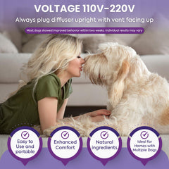 TopSum dog calming diffuser refills 6-pack purple in use near living room diffuser