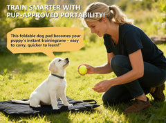 Topyangs waterproof pet mat size-315x236 provides generous space for small dogs.