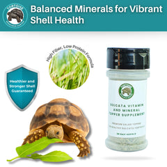 Tortoise Resource Center topper aiding shell growth for baby sulcatas.