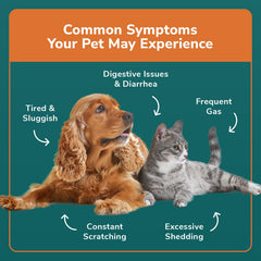 TotalVet dog allergy results online provide accessible insights after mail-in sample for diet planning.