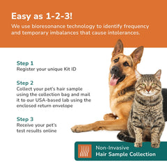 TotalVet prepaid-return-envelope simplifies sending your dog's sample back.