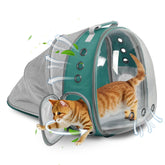 TOYSINTHEBOX Cat Backpack Carrier back-expandable bubble window for comfortable outdoor travel.