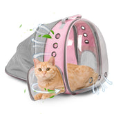TOYSINTHEBOX cat backpack expandable pink front view for travel