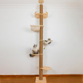 TQEW floor-to-ceiling cat tree top-structure supports stable multi-cat play.
