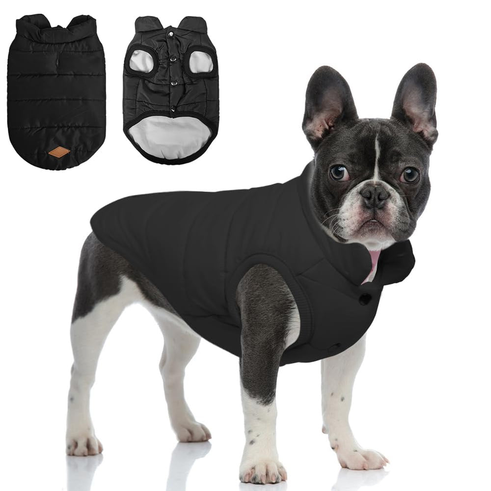 TQFlow warm dog coat front view showing snug fit for cold-weather walks