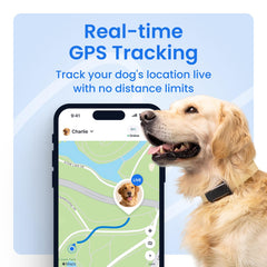 Tractive live-location updates every 2–3 seconds provide near-instant visibility during walks.
