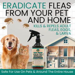 Trail Guard family-safe use shows suitability for kids, pets, and shared living spaces.