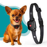 TrainTail bark collar adjustable-strap for small dogs improves comfort during walks