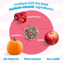 TREAT-A-BALLS vegan-non-gmo ingredients photo—premium, ethical dog treats for mindful owners.