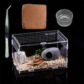 TREELF micro habitat terrarium front view for easy pet observation