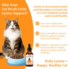 Trihood L-Lysine drops pipette enables easy daily dosing for cats