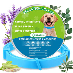 Trihood natural flea-tick collar blue-pack on dog, ready for outdoor walks with protection.