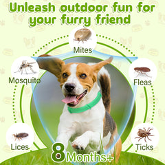 Trihood waterproof durable collar ready for outdoor adventures.