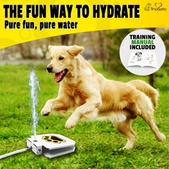 Trio Gato water fountain hose connection setup shows continuous outdoor water supply.