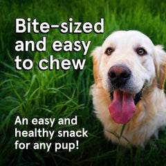 TRMC grain-free dog treats designed for easy digestion