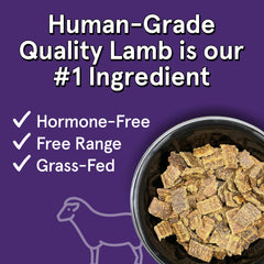 TRMC Real Meat Air-Dried Dog Food with Real Lamb close-up of grain-free chunks.
