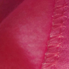 Trudz PET Security Dog Hoodie logo close-up reveals durable stitching
