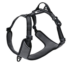 TRUE LOVE Outdoor Adventure II harness front clip enhances walk control.