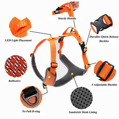TRUE LOVE Outdoor Adventure II reflective-vest increases night visibility.