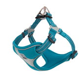 TRUE LOVE TLH5991 full-view harness shows step-in design for daily walks