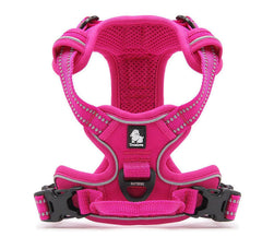TRUE LOVE harness double-stitching and buckles reinforce durability under strain.