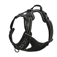 TRUE LOVE TLH5651 back-attachment harness with dual-point control for safer walks.