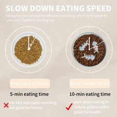TRUNDISAN slow-feed bowl for dogs promotes slower eating and helps prevent rapid gulping during meals.
