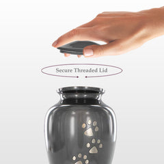 Trupoint small pet urn four inch tall compact memorial display