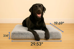 Trusted Choice Market dog bed large orthopedic foam detail for comfort during naps