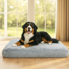 Trusted Choice Market dog bed large side view highlights supportive foam for joints
