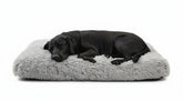 Trusted Choice Market XX-Large dog bed front view offers roomy comfort for large dogs