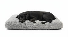 Trusted Choice Market XX-Large dog bed front view offers roomy comfort for large dogs