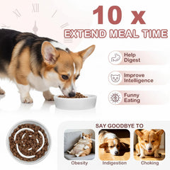 TRUVIC ceramic slow-feeder bowl with 1.5 cup capacity for medium dogs.