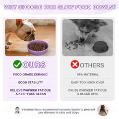 TRUVIC ceramic slow-feeder dog bowl purple close-up shows an easy-clean glaze and surface.