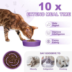 TRUVIC ceramic slow-feeder dog bowl purple top view highlights non-slip design for steady dining.