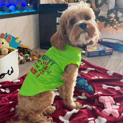 Tsorode Christmas pajamas for pets back view emphasizes cozy warmth and easy fit