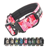 TSPRO premium dog collar with patch panel for easy tagging during walks.